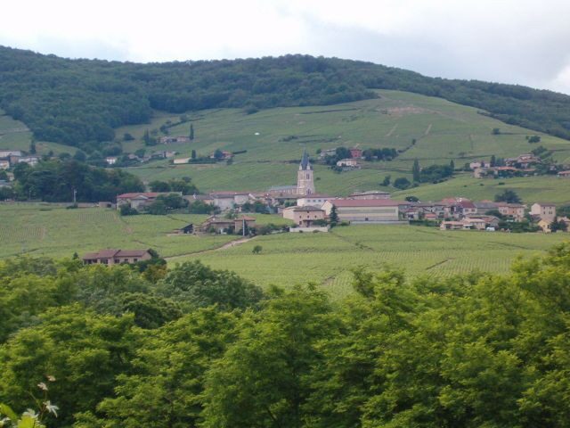 Domaine Joubert