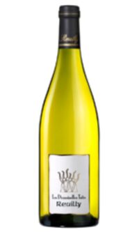 Domaine Tabordet, Reuilly, white, Sauvignon Blanc, Loire Valley