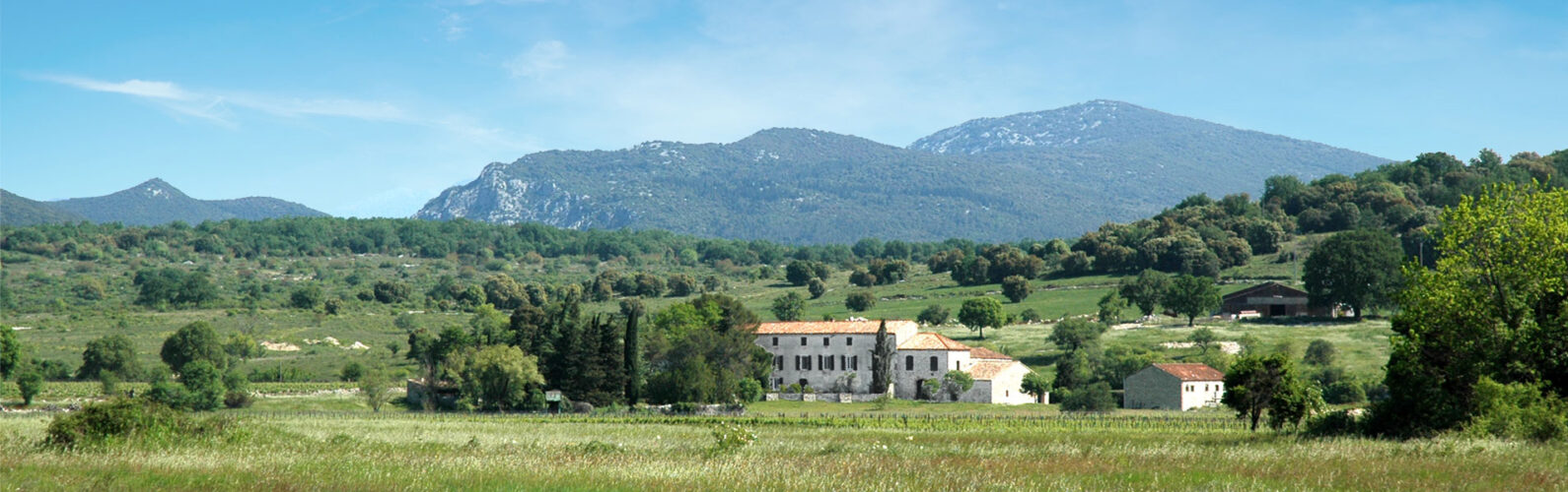 Domaine les Caizergues