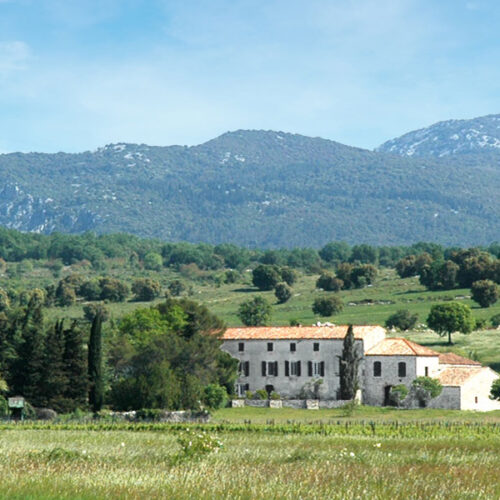 Domaine les Caizergues