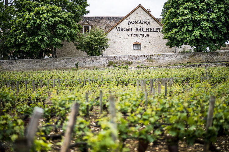 Vincent Bachelet | Wine Affairs