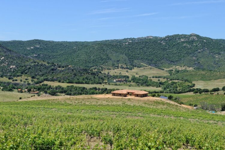 Domaine Pero Longo Domaine Pero Longo