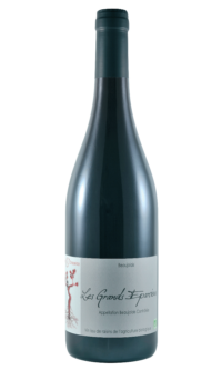 Domaine Chasselay, Les Grands Eparcieux, Beaujolais, Gamay