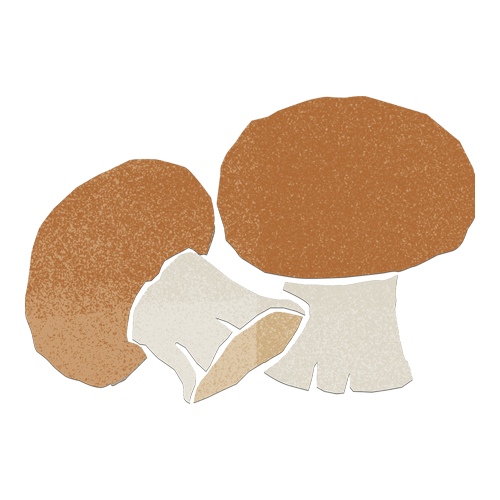 Illustration mushroom