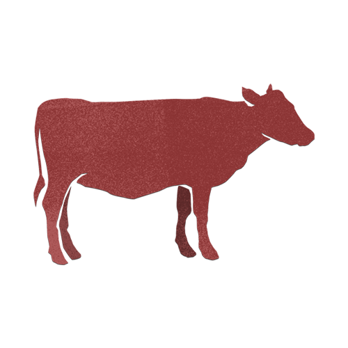 illustration red meat