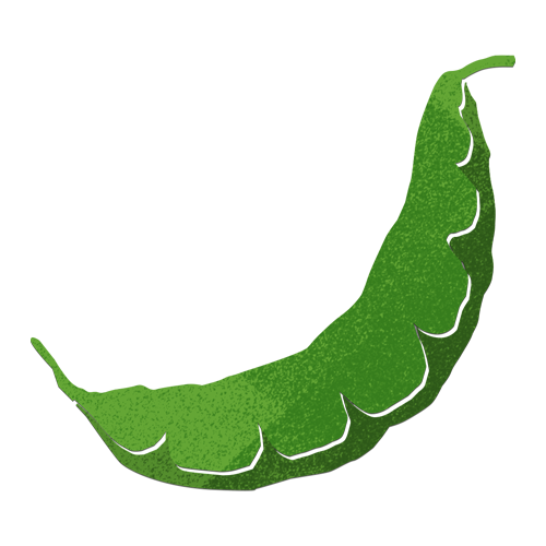 illustration vegetable