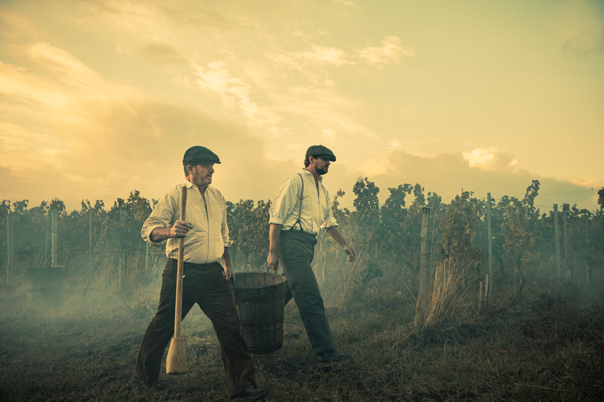 Peaky Blinders winemaking in Bordeaux, Vignobles Bardet, Saint-Emilion