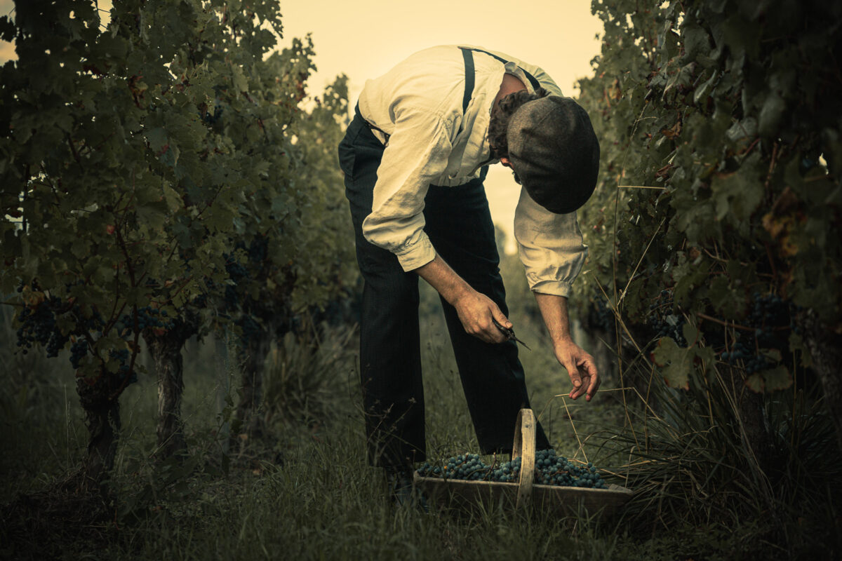 Peaky Blinders winemaking in Bordeaux, Vignobles Bardet, Saint-Emilion