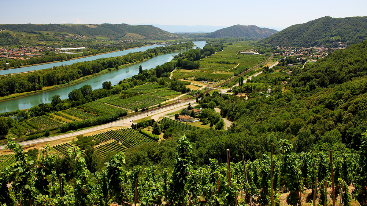 Our Guide To Cotes Du Rhone Wine