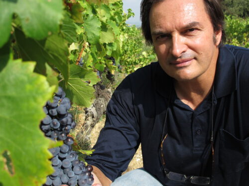 Domaine Duseigneur Domaine Duseigneur