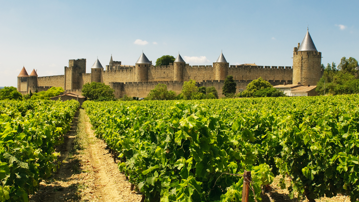 Our Guide To Languedoc Roussillon Wine