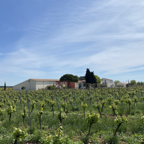 Domaine de Petit Roubié