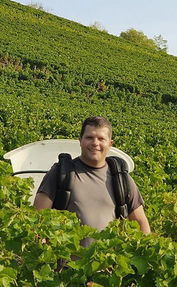 Domaine Pierre Martin Domaine Pierre Martin